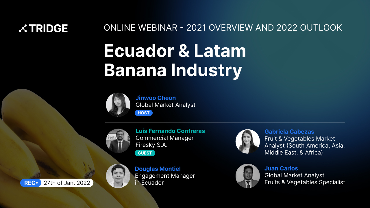 Ecuador & LATAM Banana Industry in 2021 & Outlook in 2022